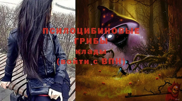 ГАЛЛЮЦИНОГЕННЫЕ ГРИБЫ Зеленодольск