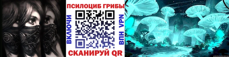 Купить где  Белоозёрский  Галлюциногенные грибы Magic Shrooms 